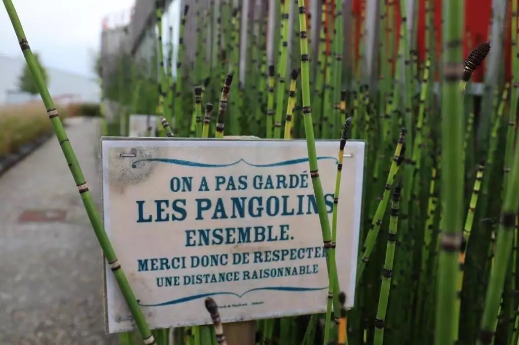 2 novembre : Les huiles essentielles sont-elles des produits non-essentiels ? 
4 novembre : Pfizer annonce deux vaccins, un pour ceux qui disent « Le » Covid, et un pour ceux qui disent « La » Covid.