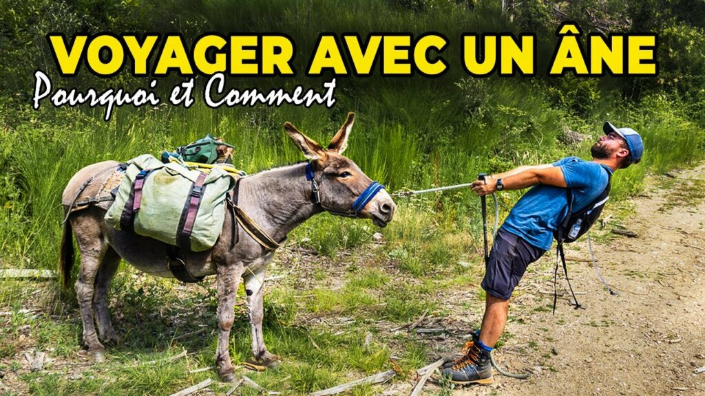 PAR CHRISTIANE BÉLERT. Résumé du premier épisode : j'ai tenté un pari audacieux : acheter un billet aller-retour Paris-Marvéjols (Lozère) en passant par Clermont-Ferrand, en réglant avec des chèques-vacances ! (avec en supplément gratuit en après-programme : 