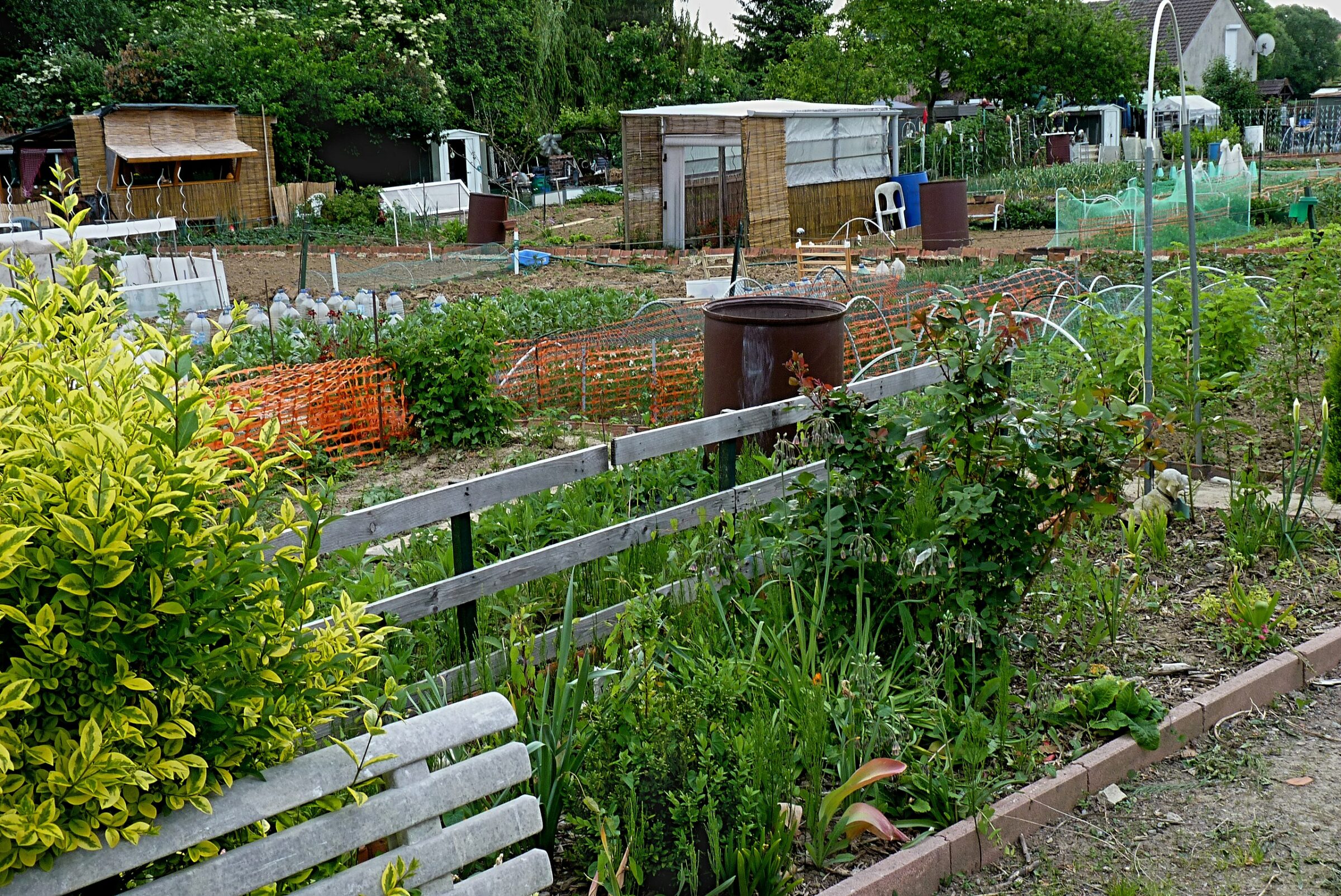 Jardiner dans son propre potager, est un 