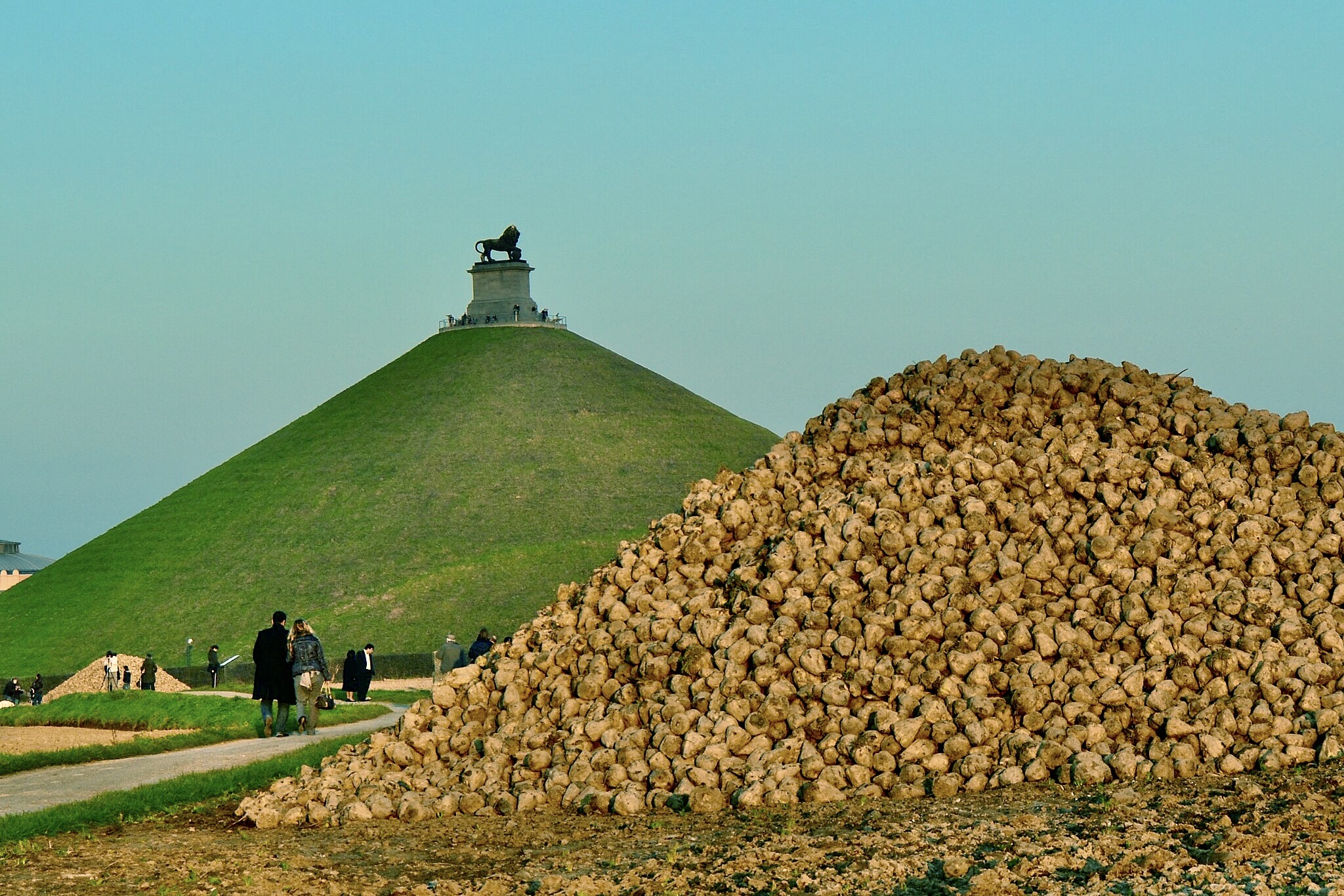 Un peu de tourisme local avec des hôtes exotiques au bord d'un champ de bataille et à l'ombre des betteraves.