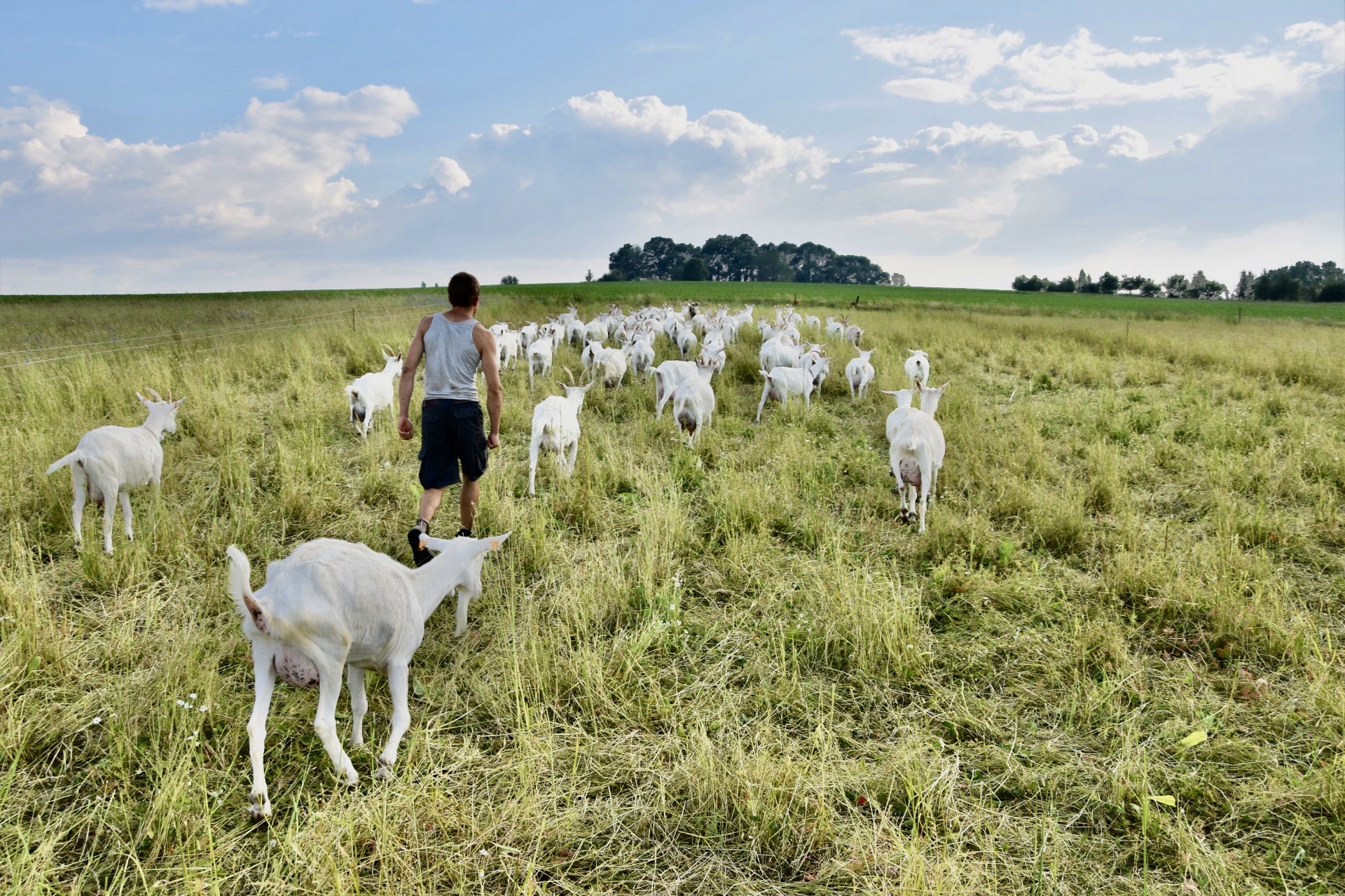 Dans la région de Tournai, une structure citoyenne regroupe des fermes familiales et des 