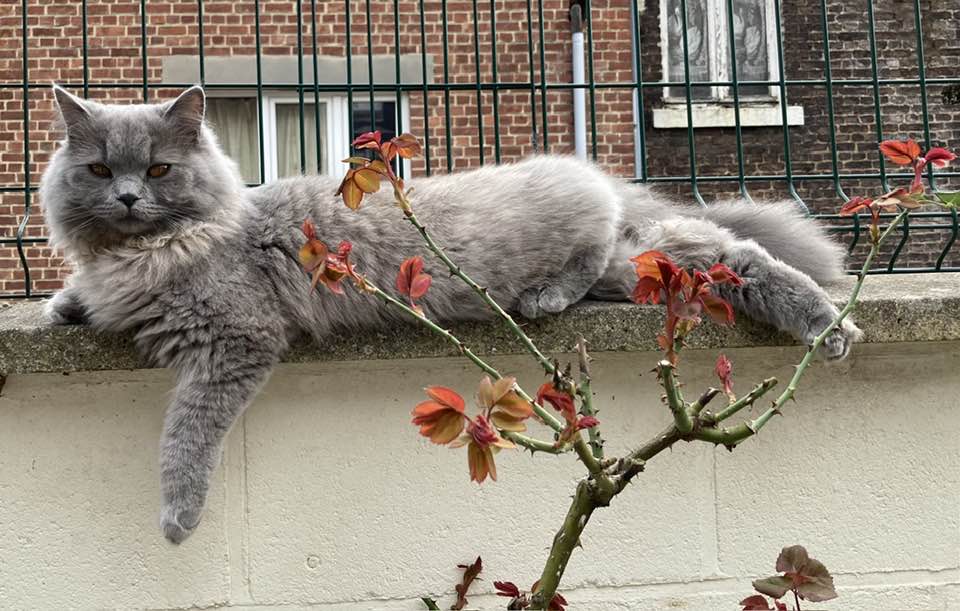 Qu'est-ce qui a été prévu pour parquer son vélo si l'on veut aller visiter un musée en pédalant ? Bernard Hennebert a recueilli deux témoignages très contrastés sur le sujet (photo et chat Isabelle Fagot)