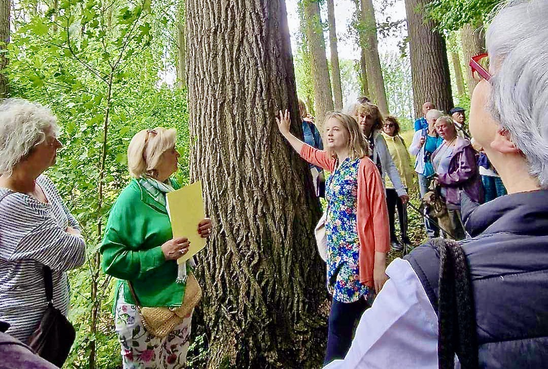 Entre écureuils et corbeaux freux, les ami·es des arbres se mobilisent, et grimpent même parfois aux branches, pour protéger et développer notre capital commun arboré.