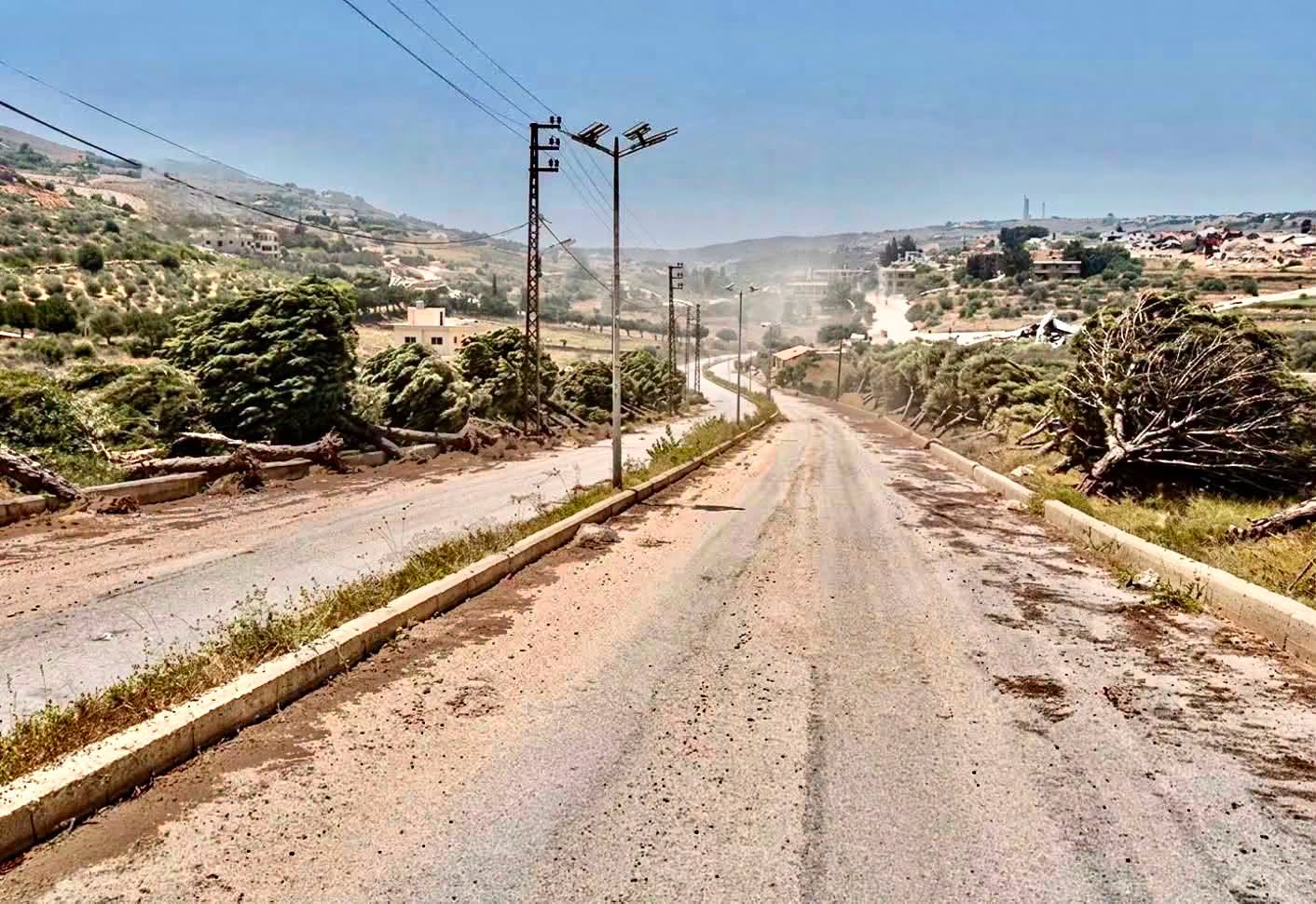 Un arbre est une promesse. Il ne pousse pas pour celui qui le plante, mais pour celui qui passera demain sous son ombre. Le déraciner, c’est tenter de transformer une terre habitée en territoire sans mémoire.
